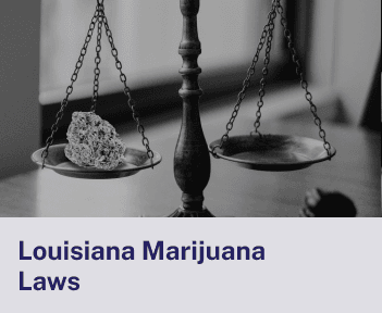 Louisiana Marijuana Laws.png